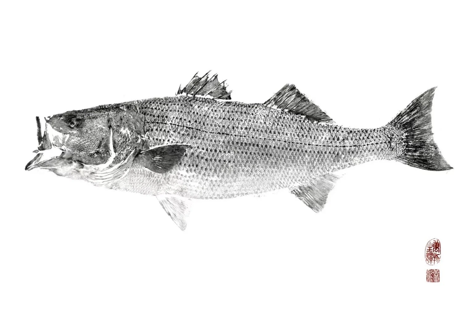 Living Fossil